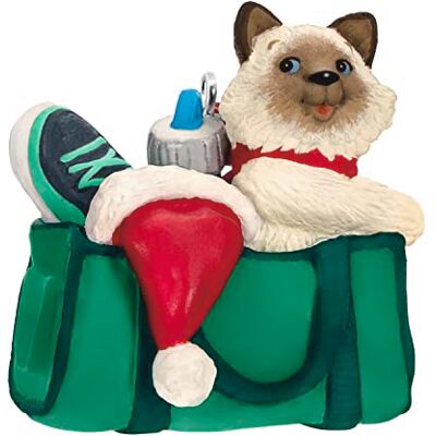 Hallmark Keepsake julprydnad 2023, busiga kattungar, kattprydnad, husdjurspresenter Hallmark Keepsake julprydnad 2023, busiga kattungar, kattprydnad, husdjurspresenter