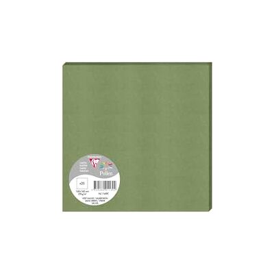 Clairefontaine 1169C ett paket med 25 enkla kort fyrkantigt format 16 x 16 cm 210 g salviagrön färg evenemangs- och korrespondensinbjudningskort pollensortiment premiumpapper slät Clairefontaine 1169C ett paket med 25 enkla kort fyrkantigt format 16 x 16 cm 210 g salviagrön färg evenemangs- och korrespondensinbjudningskort pollensortiment premiumpapper slät