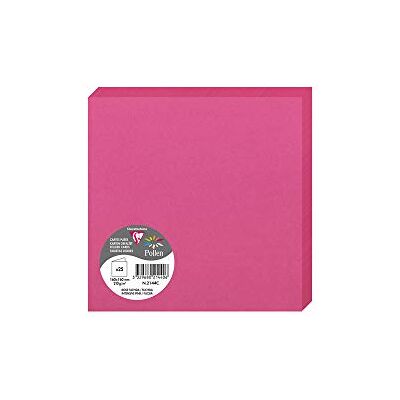 Clairefontaine förpackning med 25 dubbelkort pollen (viktade, 16 x 16 cm, 210 g) 16 x 16 x 0.10 fuchsia Clairefontaine förpackning med 25 dubbelkort pollen (viktade, 16 x 16 cm, 210 g) 16 x 16 x 0.10 fuchsia