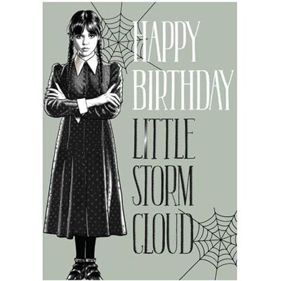 Wednesday ONSDAY födelsedagskort 'Happy Birthday Little Storm Cloud' Wednesday ONSDAY födelsedagskort 'Happy Birthday Little Storm Cloud'