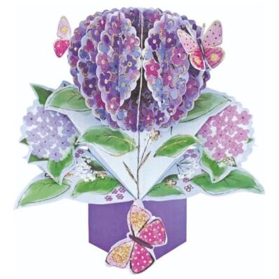 Second Nature Pop Ups Blommor och fjärilar popup-gratulationskort original Second Nature 3D pop up-kort Second Nature Pop Ups Blommor och fjärilar popup-gratulationskort original Second Nature 3D pop up-kort
