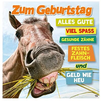 Depesche Grattiskort med musik, roligt födelsedagskort med färgglada motiv, matchande slogan och text på insidan inklusive kuvert, 17 x 16,5 cm Depesche Grattiskort med musik, roligt födelsedagskort med färgglada motiv, matchande slogan och text på insidan inklusive kuvert, 17 x 16,5 cm