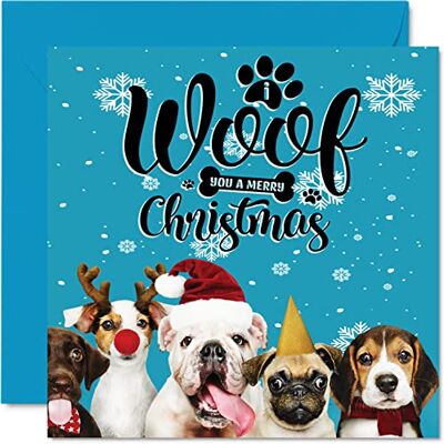 Stuff4 Hund julkort för kvinnor män – vovve jul – glad julkort till hela familjen mamma pappa syster bror kusin farbror moster, 145 mm x 145 mm enkelt husdjur jul gratulationskort present Stuff4 Hund julkort för kvinnor män – vovve jul – glad julkort till hela familjen mamma pappa syster bror kusin farbror moster, 145 mm x 145 mm enkelt husdjur jul gratulationskort present