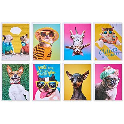 American Greetings Amerikanska hälsningar roliga tomma kort med kuvert för alla tillfällen, hundar och katter (48 stycken) American Greetings Amerikanska hälsningar roliga tomma kort med kuvert för alla tillfällen, hundar och katter (48 stycken)