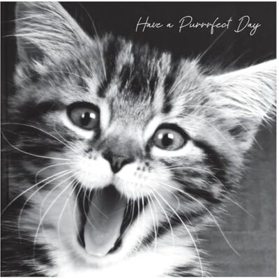 Emotional Rescue I svart och vitt, ha en Purrfect dag födelsedagskort för henne, kvinnligt födelsedagskort, öppet födelsedagskort Emotional Rescue I svart och vitt, ha en Purrfect dag födelsedagskort för henne, kvinnligt födelsedagskort, öppet födelsedagskort