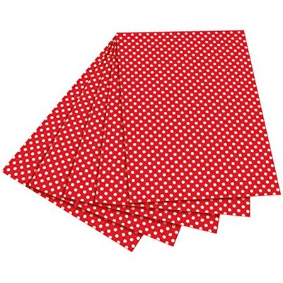 folia 5902 – Fotokartong röd med vita prickar, 50 x 70 cm, 10 ark – tryckt på båda sidor – för pyssel och kreativa mönster av kort, fönsterbilder och för scrapbooking folia 5902 – Fotokartong röd med vita prickar, 50 x 70 cm, 10 ark – tryckt på båda sidor – för pyssel och kreativa mönster av kort, fönsterbilder och för scrapbooking