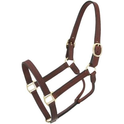 Tough 1 Royal King Läder Track Halter, Brun, Häst Tough 1 Royal King Läder Track Halter, Brun, Häst