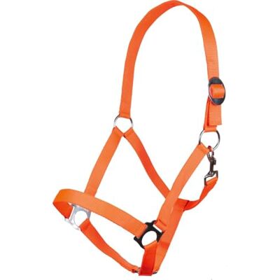 HKM Stars Economy Softice Hölster Neon Varmt Blod HKM Stars Economy Softice Hölster Neon Varmt Blod