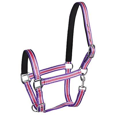 PFIFF plasthållare, underliggande, thoroughbred, pink-white-purple Cob PFIFF plasthållare, underliggande, thoroughbred, pink-white-purple Cob
