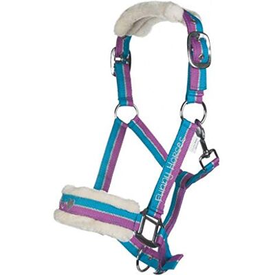 HKM Funny Horses® Roliga hästar grimma och ränder 11233 lila/Aqua/silver ponny HKM Funny Horses® Roliga hästar grimma och ränder 11233 lila/Aqua/silver ponny