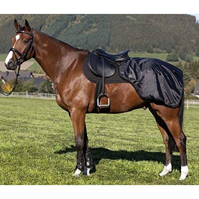 PFIFF 100249-60 träningsskydd för hel- och varmblodiga hästar svart PFIFF 100249-60 träningsskydd för hel- och varmblodiga hästar svart