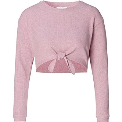 Noppies Damtopp Axel Nursing långärmad T-shirt, Violet Ice N045, 44 SE Noppies Damtopp Axel Nursing långärmad T-shirt, Violet Ice N045, 44 SE