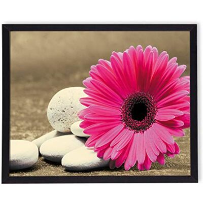postergaleria bild i ram affisch modern konstnärlig vägg olika ämnen 40 x 50 cm (rosa blomma) postergaleria bild i ram affisch modern konstnärlig vägg olika ämnen 40 x 50 cm (rosa blomma)