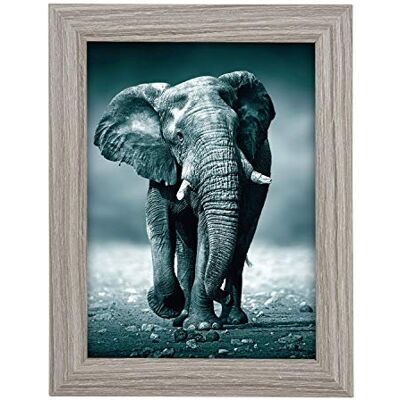 goldbuch Fotoram Toscana av trä, fotoram för bild i 10 x 15 cm format, porträttram med hållare och vägghållare, enkel ram av MDF, fotoram, grå, ca 13 x 18 x 1,5 cm goldbuch Fotoram Toscana av trä, fotoram för bild i 10 x 15 cm format, porträttram med hållare och vägghållare, enkel ram av MDF, fotoram, grå, ca 13 x 18 x 1,5 cm