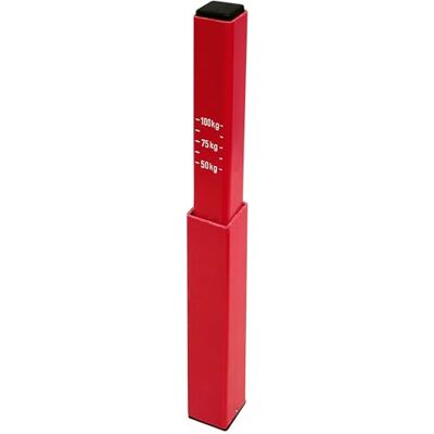 Carpoint 0410255 Stützlastwaage Carpoint 0410255 Stützlastwaage