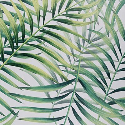 Venilia Självhäftande film blad palmblad tropisk djungeloptik 90 cm x 2,6 m, tjocklek 160μ självhäftande möbelfolie, dekorativ film, tapet, köksfolie PVC utan ftalater Tillverkad i EU Venilia Självhäftande film blad palmblad tropisk djungeloptik 90 cm x 2,6 m, tjocklek 160μ självhäftande möbelfolie, dekorativ film, tapet, köksfolie PVC utan ftalater Tillverkad i EU