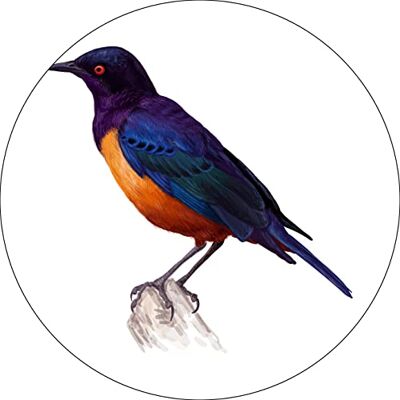 Bonateks , Runt digitalt tryckt musmatta, halkfri undersida, för kontor och hem, diameter: 22 cm Bonateks , Runt digitalt tryckt musmatta, halkfri undersida, för kontor och hem, diameter: 22 cm