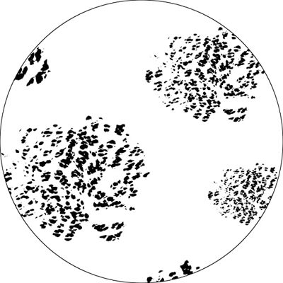 Bonateks , Runt digitalt tryckt musmatta, halkfri undersida, för kontor och hem, diameter: 22 cm Bonateks , Runt digitalt tryckt musmatta, halkfri undersida, för kontor och hem, diameter: 22 cm