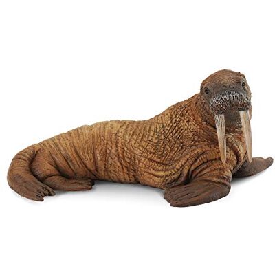 CollectA Walrus CollectA Walrus