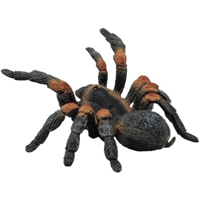 Bullyland 68453 – leksaksfigur rödknä fågelspindel, ca 11,5 cm djurfigur, detaljrik, PVC-fri, perfekt som en liten gåva för barn från 3 år Bullyland 68453 – leksaksfigur rödknä fågelspindel, ca 11,5 cm djurfigur, detaljrik, PVC-fri, perfekt som en liten gåva för barn från 3 år