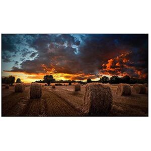 Samsung 46" VM46B-U