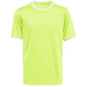 adidas Uniseks dzieci Entrada26 Jersey Kids, team solar yellow 2/white, 11-12 Years adidas Uniseks dzieci Entrada26 Jersey Kids, team solar yellow 2/white, 11-12 Years