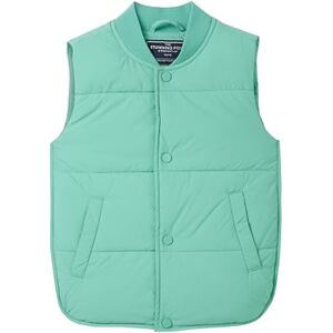 TOM TAILOR Pojkar 1040969 väst, 16945-Light Fern Green, 104/110, 16945 Ljusgrön, 104/110 cm TOM TAILOR Pojkar 1040969 väst, 16945-Light Fern Green, 104/110, 16945 Ljusgrön, 104/110 cm