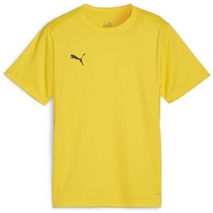 Puma teamGOAL Jersey Jr 152 - Sporttröja Puma teamGOAL Jersey Jr 152 - Sporttröja
