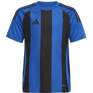 adidas Uniseks dzieci STRIPED 24 JERSEY KIDS, team royal blue/black, 7-8 Years adidas Uniseks dzieci STRIPED 24 JERSEY KIDS, team royal blue/black, 7-8 Years