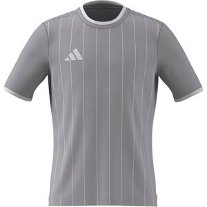adidas Uniseks dzieci Entrada26 Graphic Jersey Kids, team light grey/white, 5-6 Years adidas Uniseks dzieci Entrada26 Graphic Jersey Kids, team light grey/white, 5-6 Years