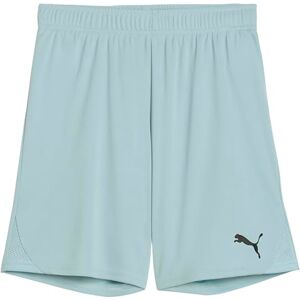 PUMA teamGOAL Shorts Jr PUMA teamGOAL Shorts Jr