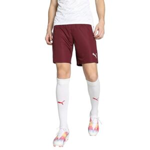 PUMA unisex vuxen Kort Teamliga shorts, Cordovan- vit, M PUMA unisex vuxen Kort Teamliga shorts, Cordovan- vit, M