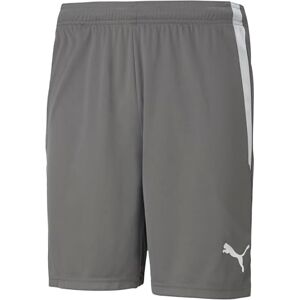 PUMA unisex vuxen Kort Teamliga shorts, Rökt pärla-, L PUMA unisex vuxen Kort Teamliga shorts, Rökt pärla-, L