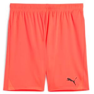 PUMA teamGOAL shorts PUMA teamGOAL shorts