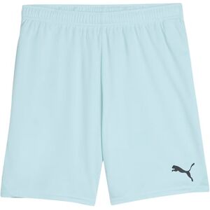 PUMA teamGOAL shorts PUMA teamGOAL shorts