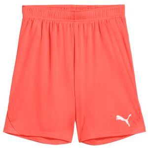 PUMA teamGOAL Shorts Jr PUMA teamGOAL Shorts Jr