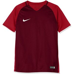 NIKE barn trofé Iii Jersey Youth kortärmad trikot Rot (Team Red/Gym Red/Gym Red/White) Medium NIKE barn trofé Iii Jersey Youth kortärmad trikot Rot (Team Red/Gym Red/Gym Red/White) Medium