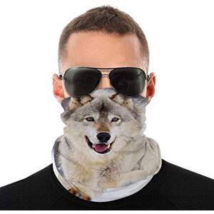 Kappa Kombat Third Monaco Act Jersey, grå storlek 12 år, Grå, 12 años Kappa Kombat Third Monaco Act Jersey, grå storlek 12 år, Grå, 12 años