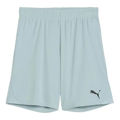 PUMA teamGOAL Shorts Jr PUMA teamGOAL Shorts Jr
