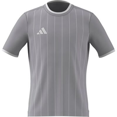 adidas unisex barn Entrada26 Graphic Jersey Kids Shirt, team light grey/white, 5-6 Years adidas unisex barn Entrada26 Graphic Jersey Kids Shirt, team light grey/white, 5-6 Years