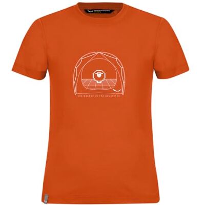 Salewa Graphic Dry S/S Tee K, bränd orange, 152, Bränd orange, 152 cm Salewa Graphic Dry S/S Tee K, bränd orange, 152, Bränd orange, 152 cm
