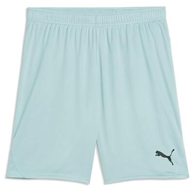 PUMA teamGOAL shorts PUMA teamGOAL shorts