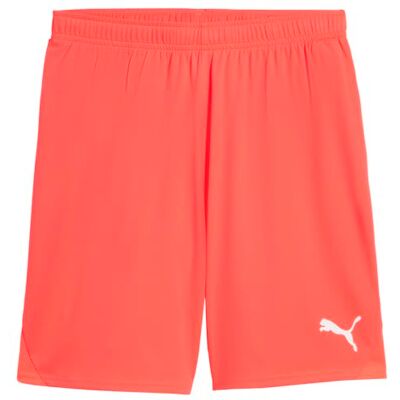 PUMA teamGOAL shorts PUMA teamGOAL shorts