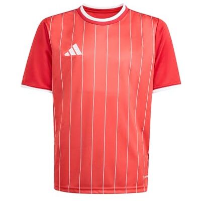 adidas unisex barn Entrada26 Graphic Jersey Kids Shirt, team power red 2/white, 5-6 Years adidas unisex barn Entrada26 Graphic Jersey Kids Shirt, team power red 2/white, 5-6 Years