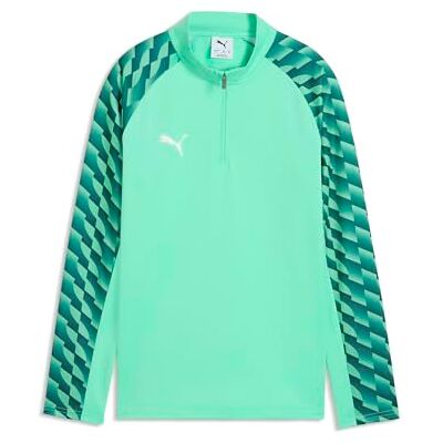 PUMA teamLIGA26 träning 1/4 dragkedja topp Jr svettjackor; 128, mint gelé vit smaragd is PUMA teamLIGA26 träning 1/4 dragkedja topp Jr svettjackor; 128, mint gelé vit smaragd is