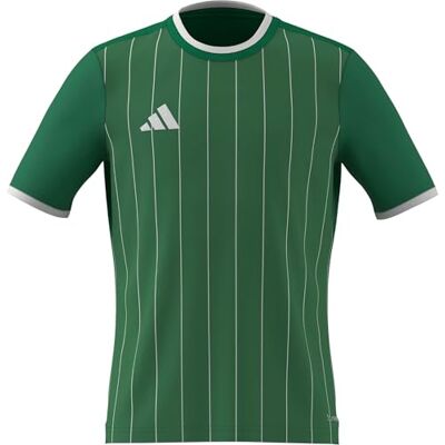 adidas unisex barn Entrada26 Graphic Jersey Kids Shirt, team green/white, 5-6 Years adidas unisex barn Entrada26 Graphic Jersey Kids Shirt, team green/white, 5-6 Years
