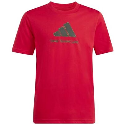 adidas Uniseks dzieci CAMO GRAPHIC T-SHIRT JUNIOR, pure ruby, 11-12 Years adidas Uniseks dzieci CAMO GRAPHIC T-SHIRT JUNIOR, pure ruby, 11-12 Years