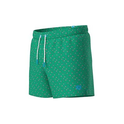 ARENA Men's Water Prints Beach Short AO Flags Multi ARENA Men's Water Prints Beach Short AO Flags Multi