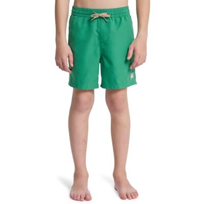 Quiksilver badshorts vardag Volley YTH 14 pojkar grön Quiksilver badshorts vardag Volley YTH 14 pojkar grön