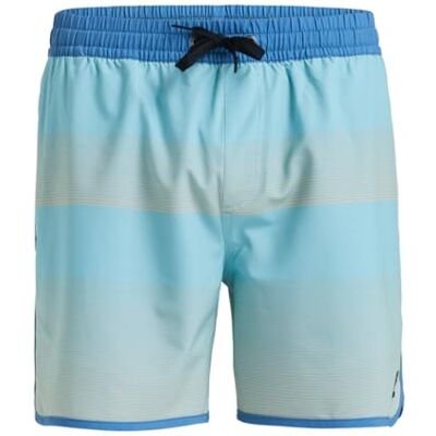 Quiksilver herr surfsilke kammussla volley 16 brädshorts (paket med 1) Quiksilver herr surfsilke kammussla volley 16 brädshorts (paket med 1)